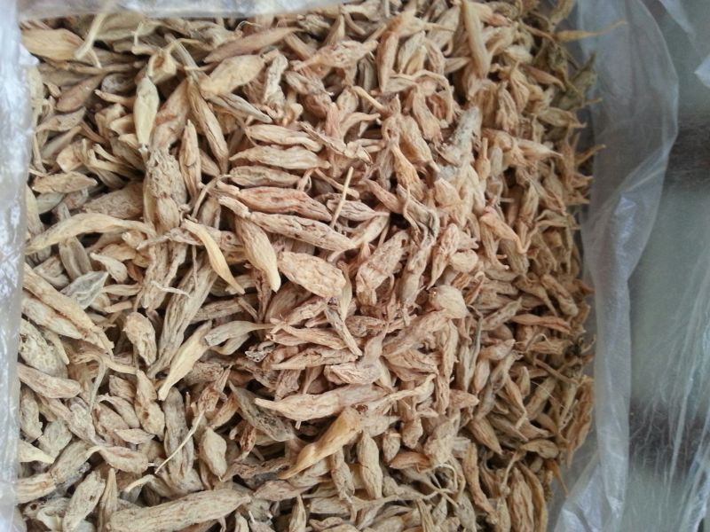 麦冬