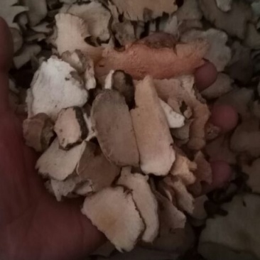 土茯苓薄片