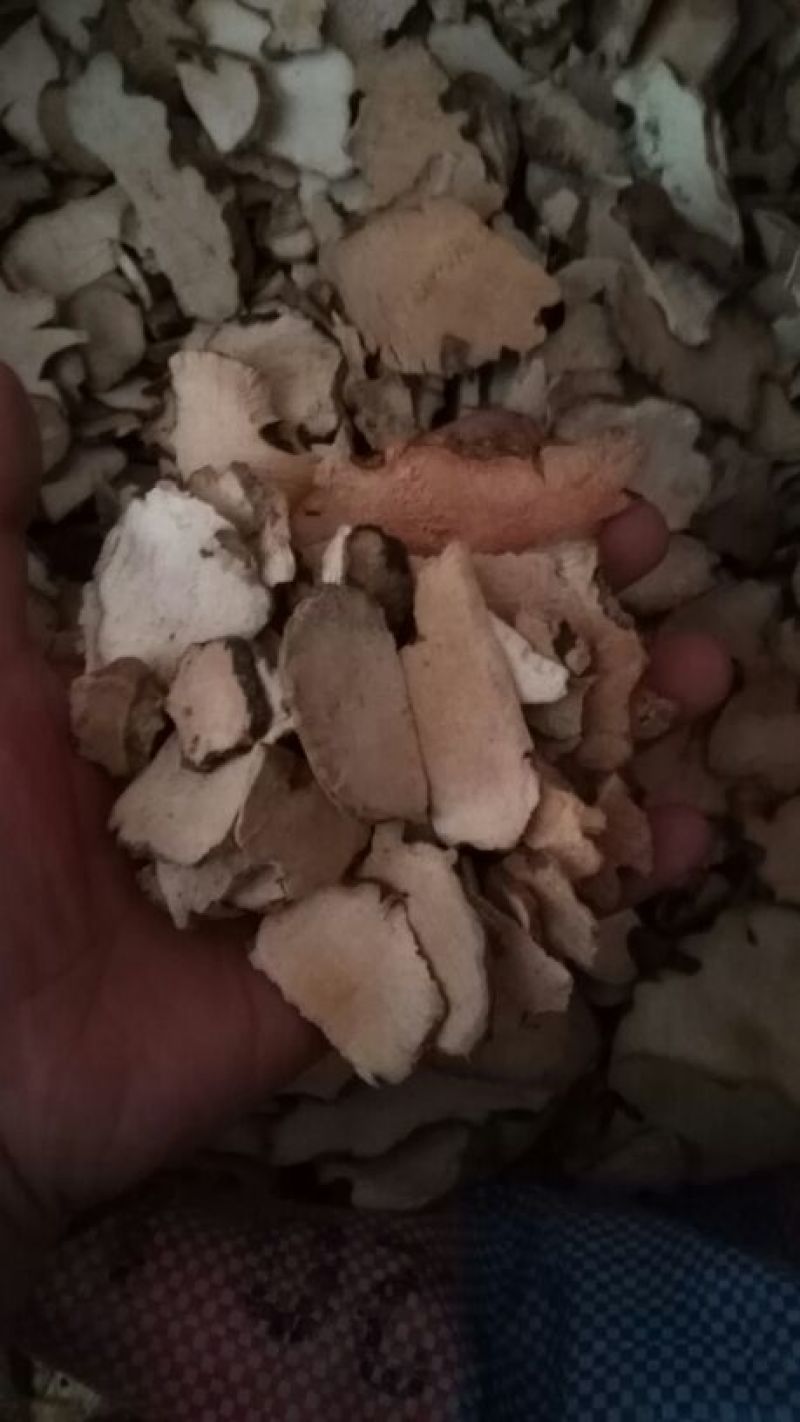 土茯苓薄片