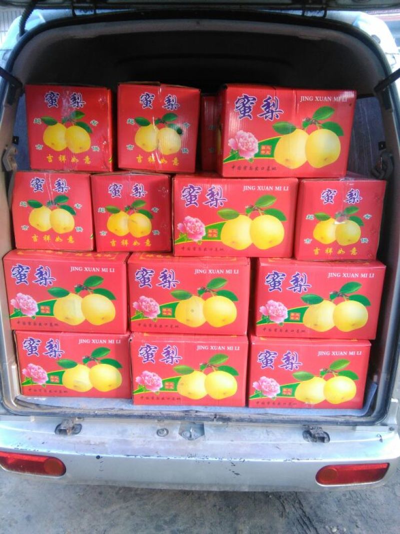 晚秋黄梨450~500g纸加膜