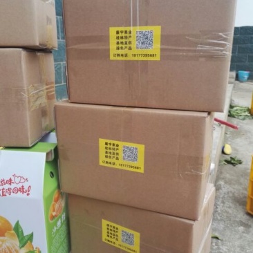荸荠正宗荔浦马蹄批发零售清甜化渣甜如初恋