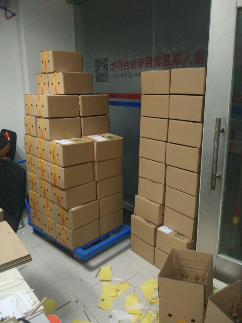 百香果紫果80~90g