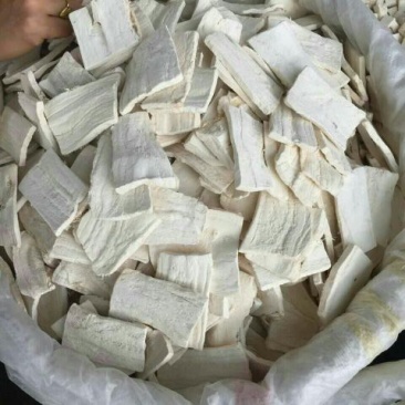 葛根柴统片