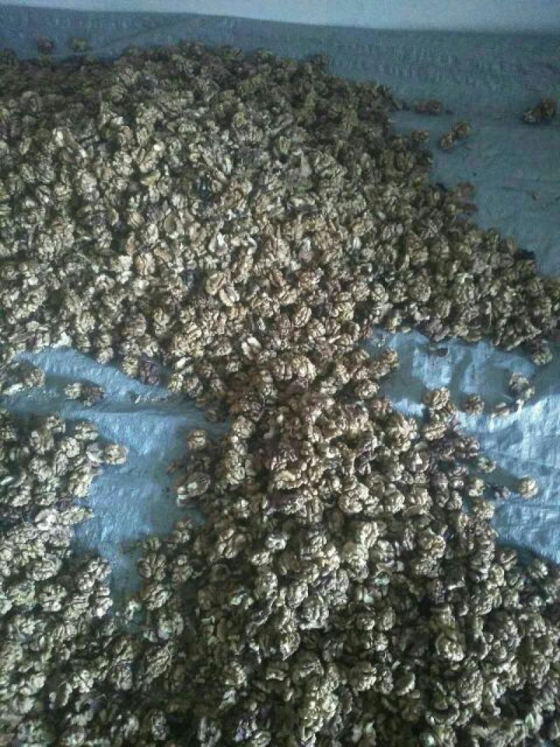 薄皮核桃去皮干
