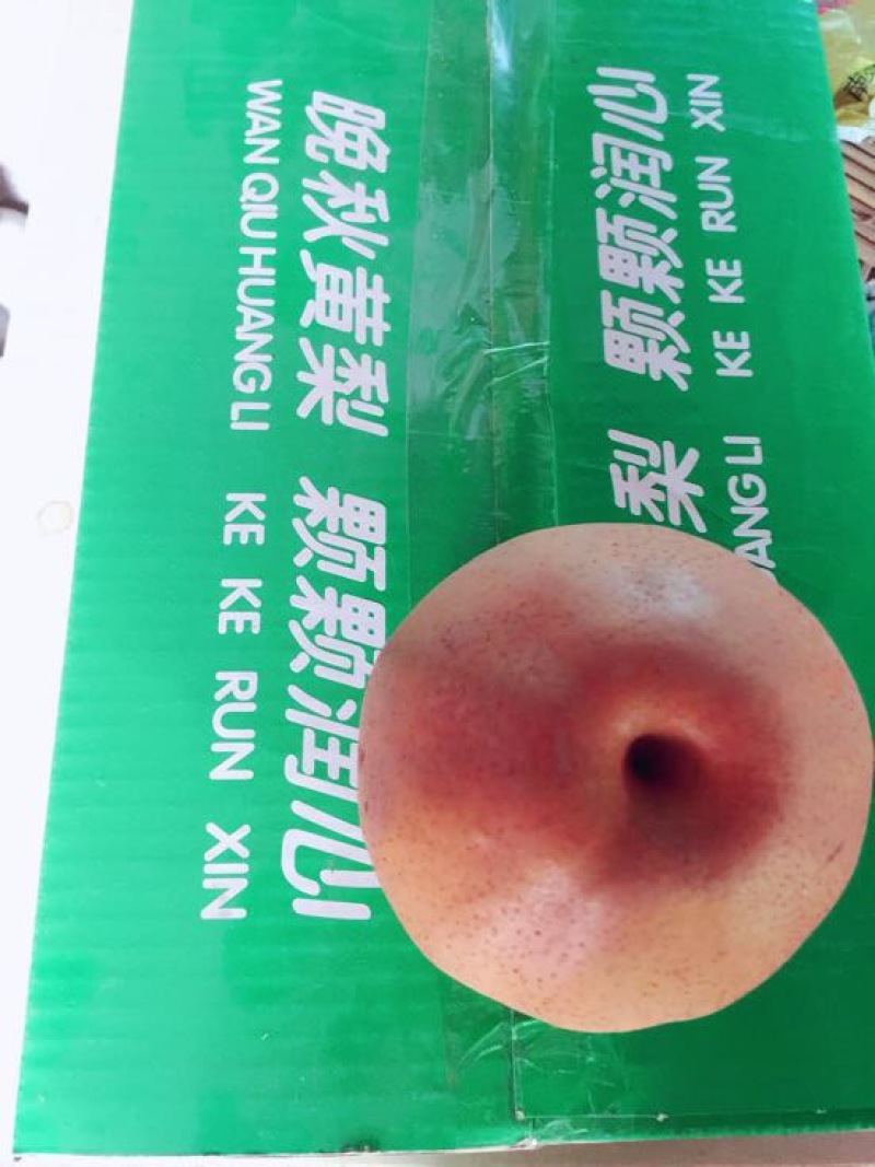 晚秋黄梨