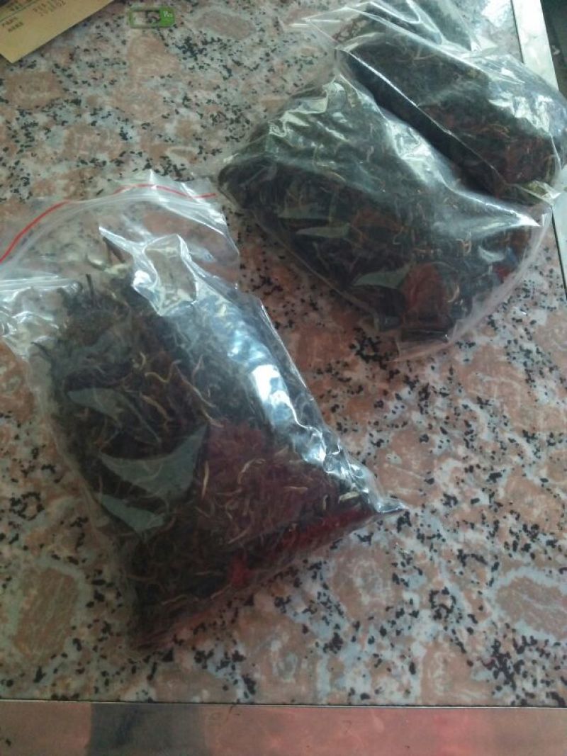 百年大树茶二级