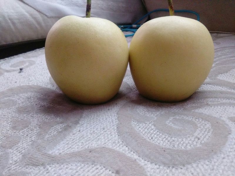皇冠梨250~300g纸袋
