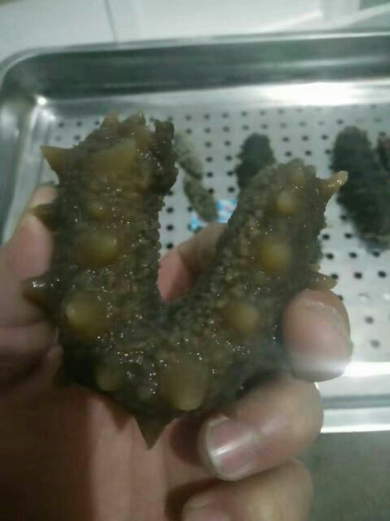 海参食用即食