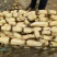 白莲藕，大地红9~11厘米20~25厘米以上