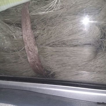 红薯粉丝散装