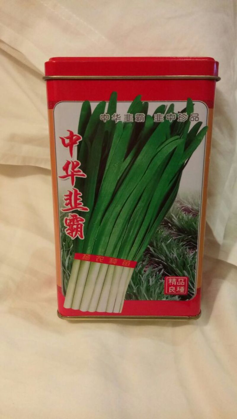 韭菜种子罐装