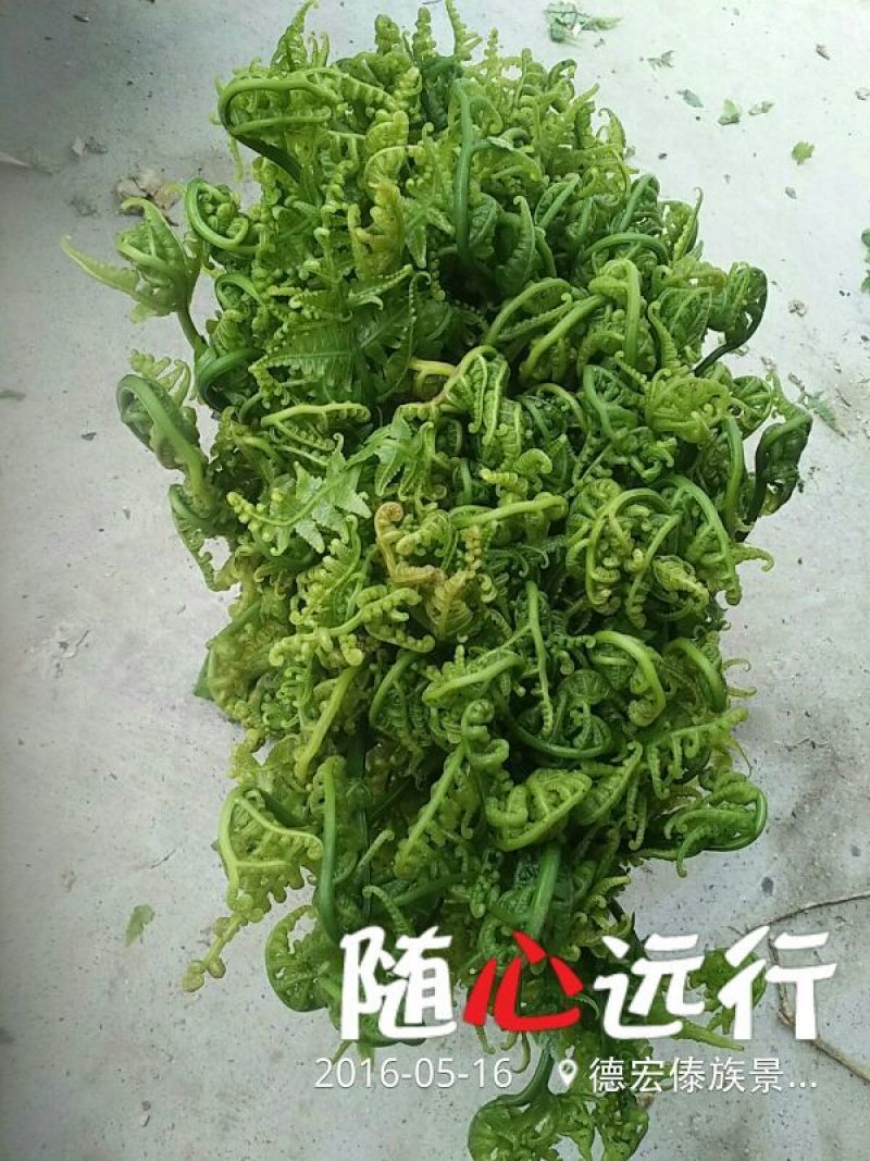 山野菜
