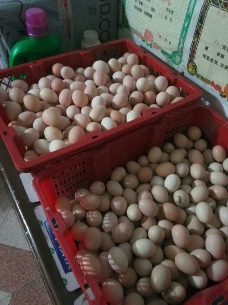 土鸡蛋食用50g以下
