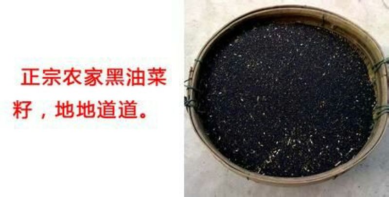 菜油