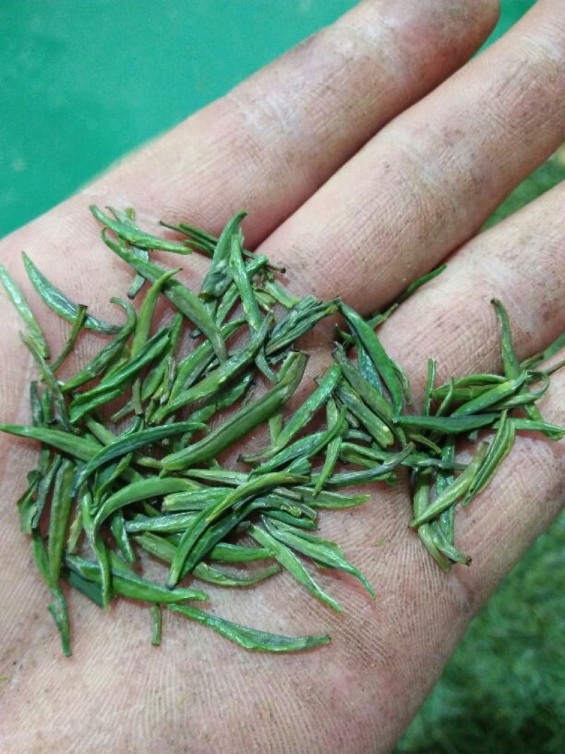 石阡苔茶特级