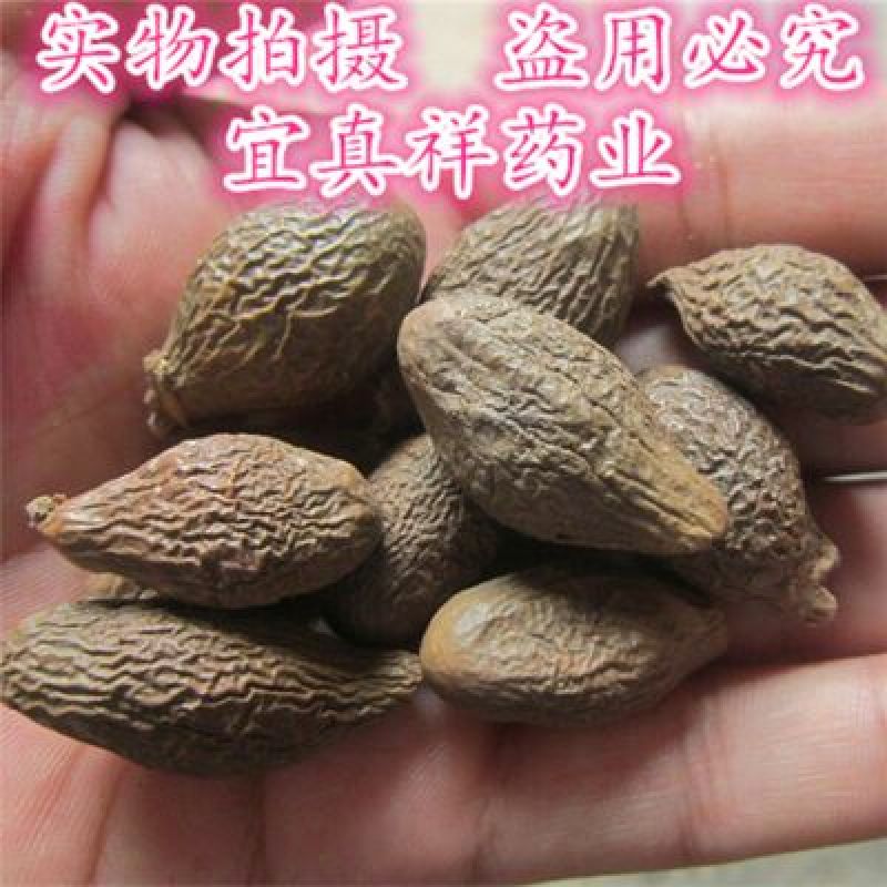 胖大海