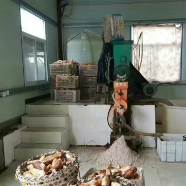藕粉