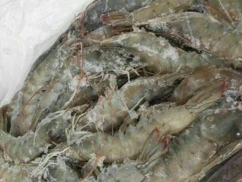 南美白对虾食用冻虾