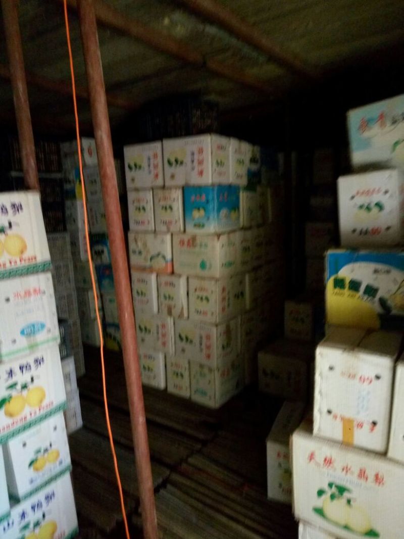 鸭梨250~300g膜袋