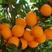 二月红脐橙橙子柑橘产地直销保质保量欢迎订购