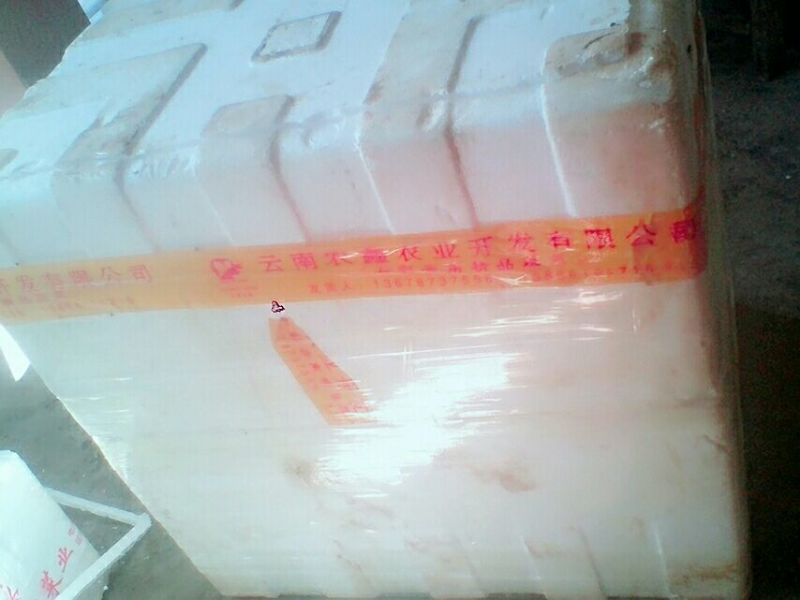 河虾活虾21~25只/kg
