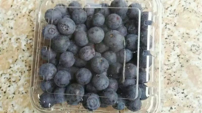 蓝莓12~14mm以上