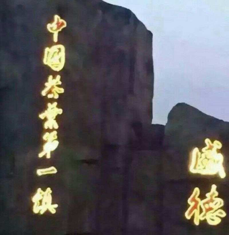 观音茶特级