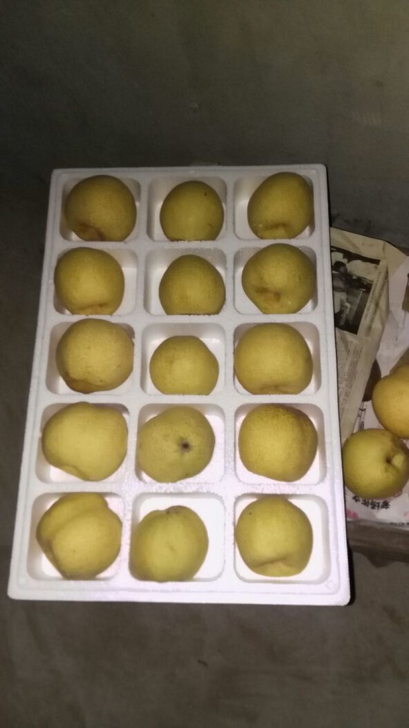 砀山梨250~300g纸箱