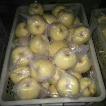 礼泉酥梨纸袋