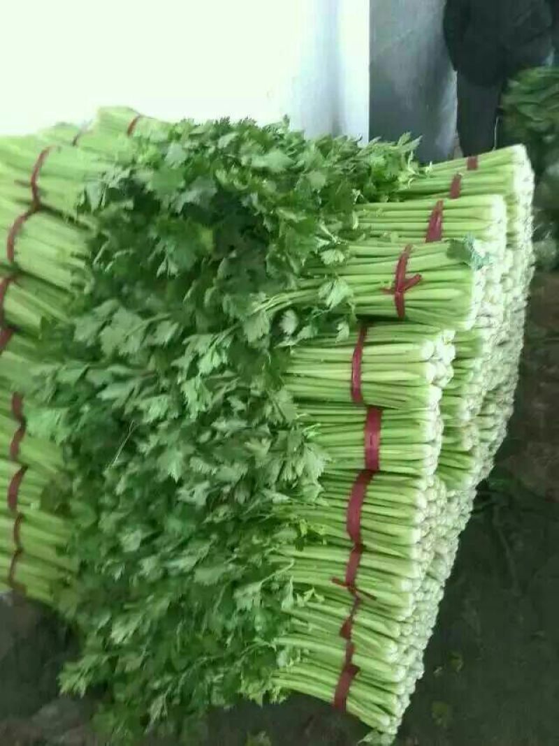 菠菜