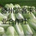 滕州新北京新三号白菜，4~6斤可根据客户要求定制净菜
