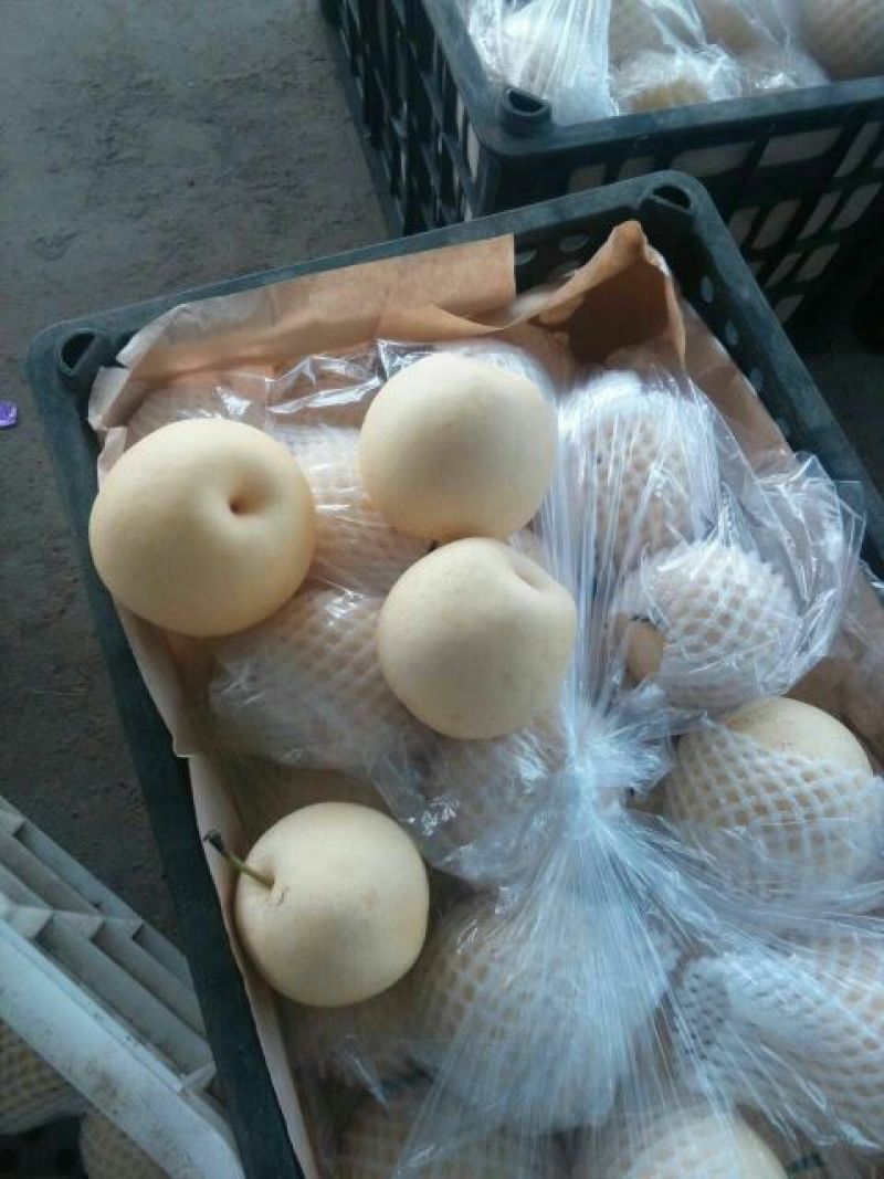红香酥梨筐装