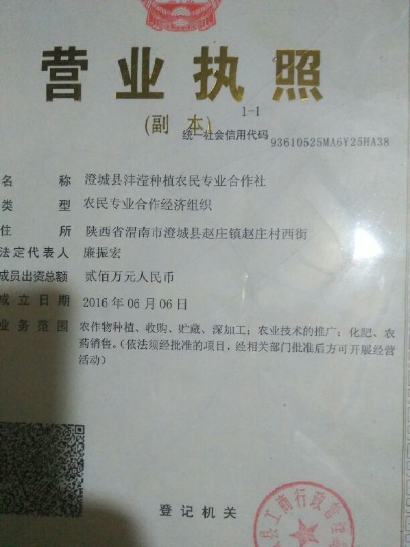 压榨菜籽油四级