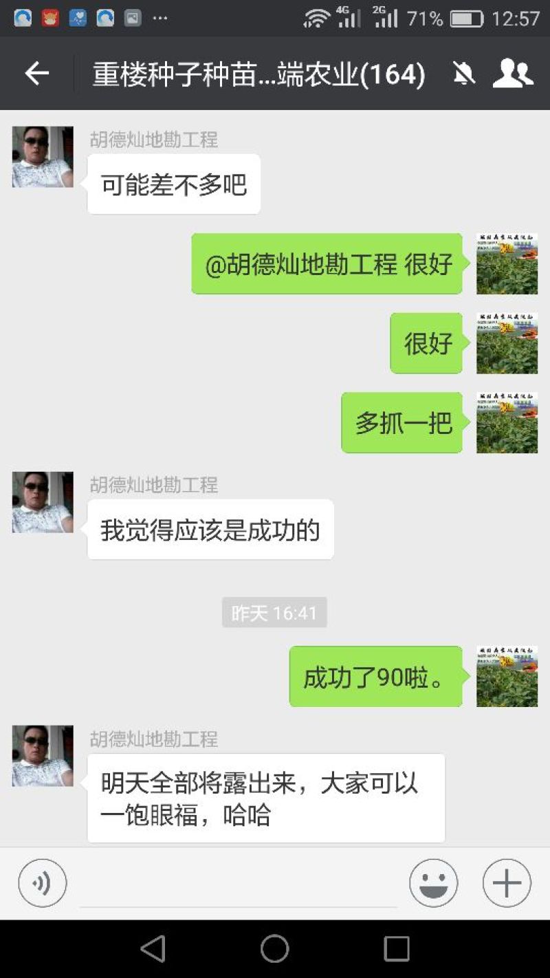 【良心推荐】云南纯正滇重楼矮杆重楼