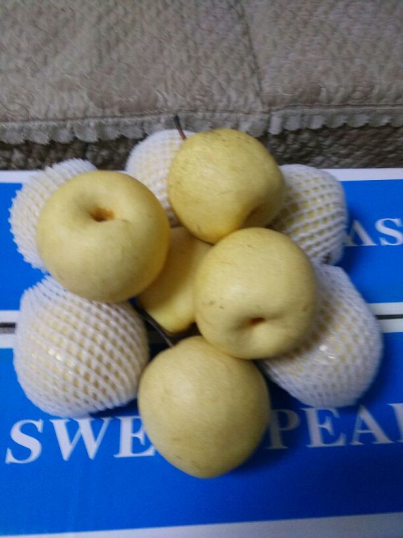 贡梨纸加膜350~400g