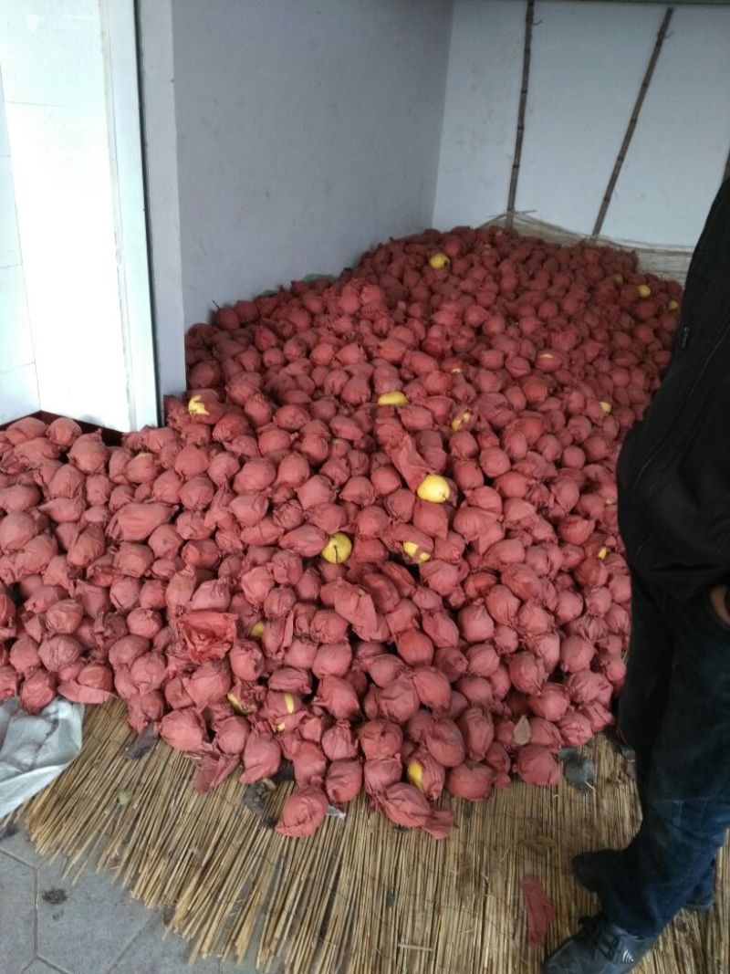 雪花梨300~350g纸袋