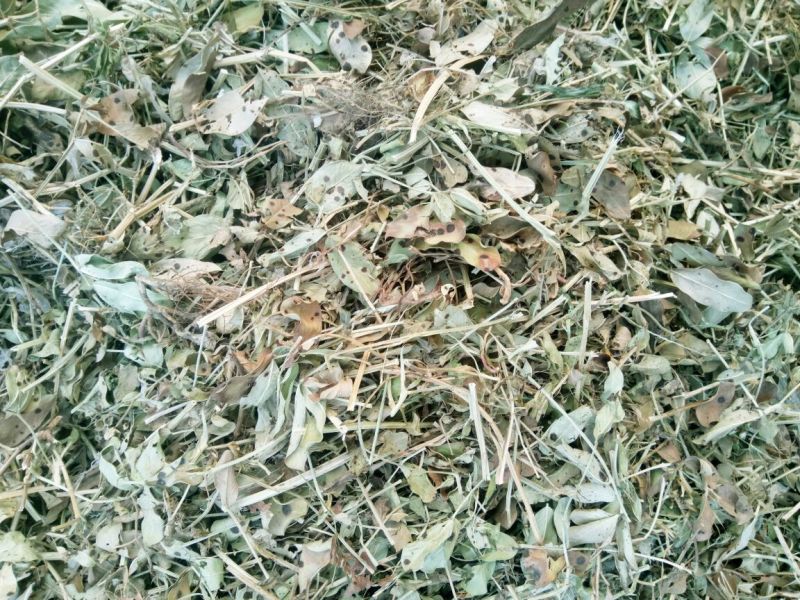 花生糠细糠