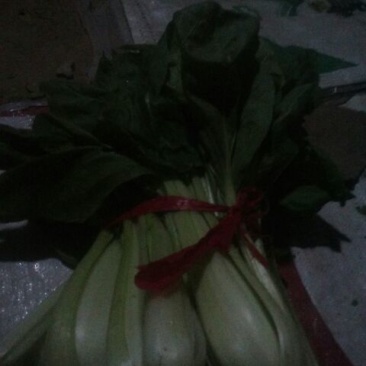 油菜2两以上