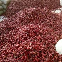 《种植基地》大量北京红干辣椒上市，八成半，有需要的