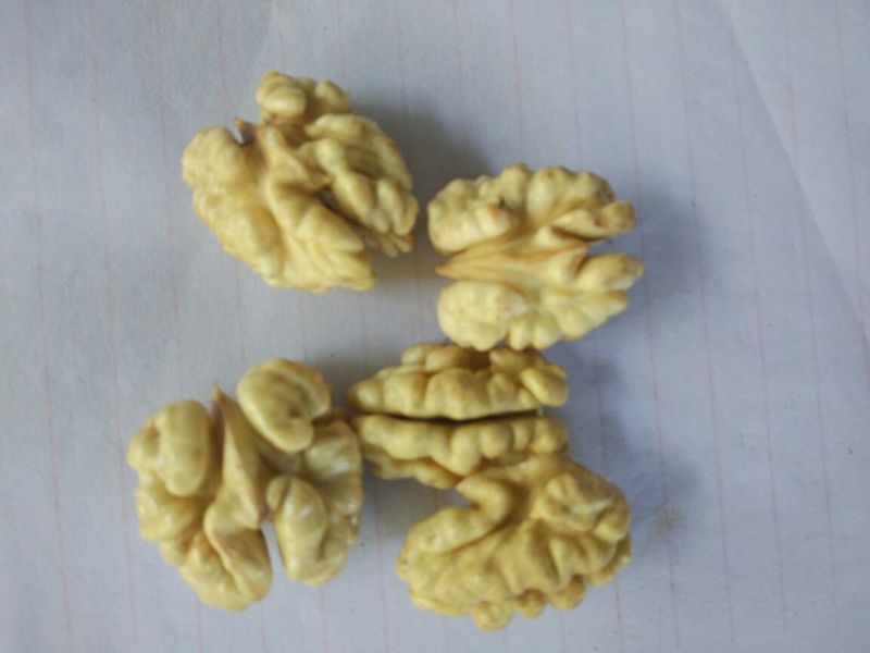 核桃去皮通货，大优一号，盐源早一号，大量上市