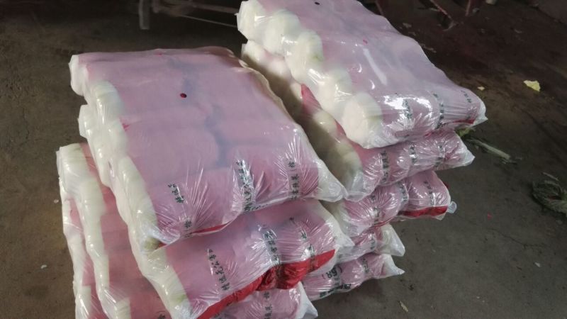 山东黄心白菜3-5斤供应超市，市场，加工各种