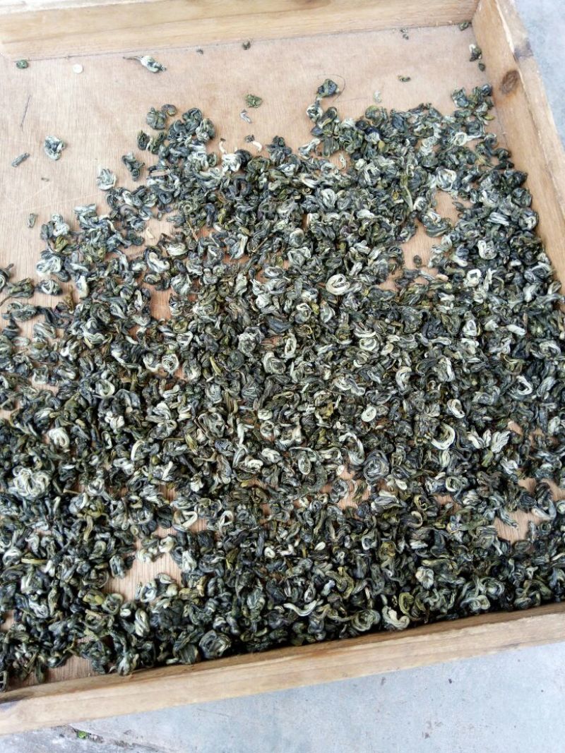 古树普洱茶特级