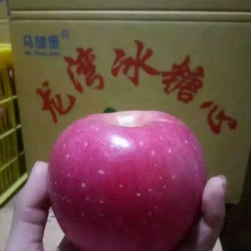 冰糖心苹果80mm以上纸+膜袋