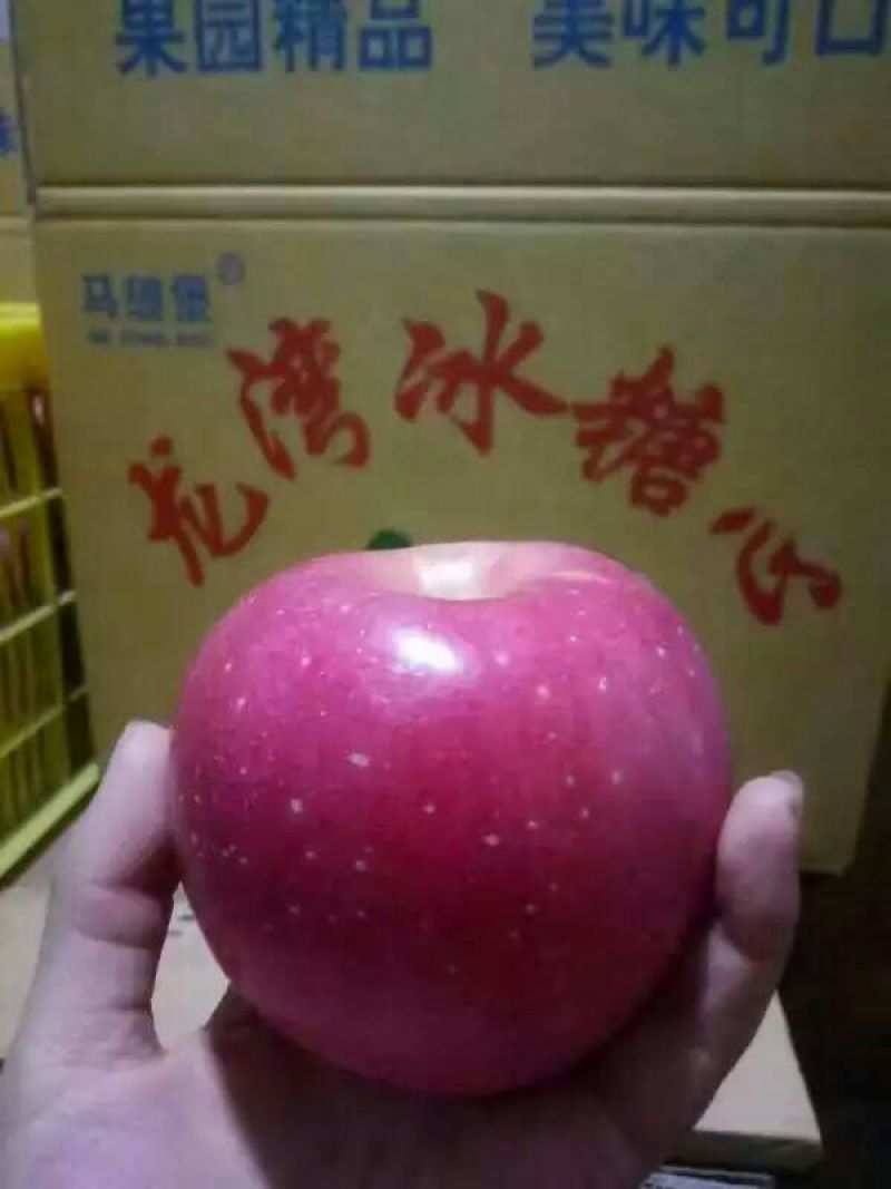 冰糖心苹果80mm以上纸+膜袋