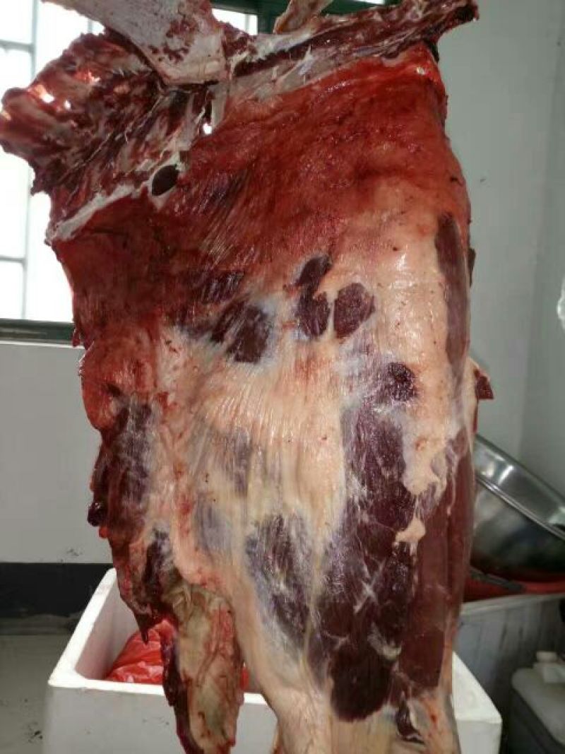 驴肉鲜货，货发全国，质量好