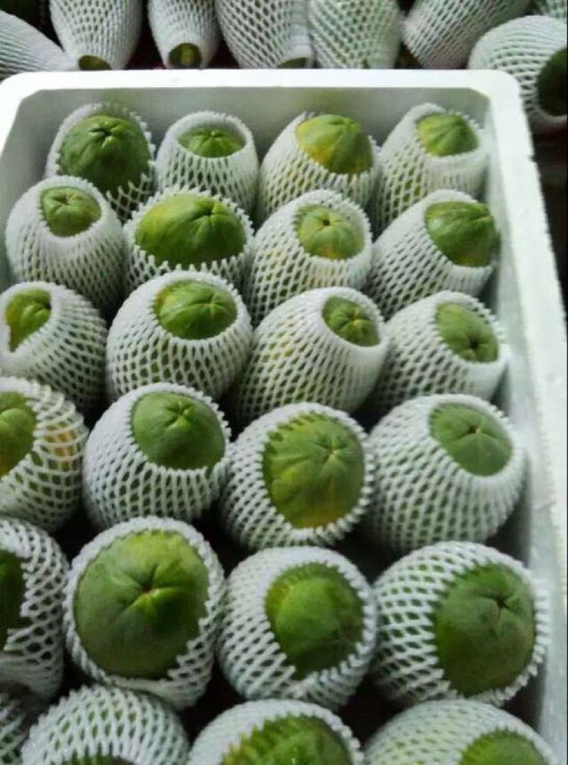 木瓜