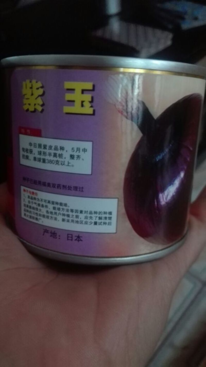 紫皮洋葱种子80%以上
