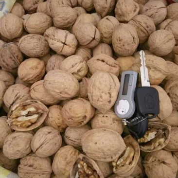 薄皮核桃30mm以上去皮
