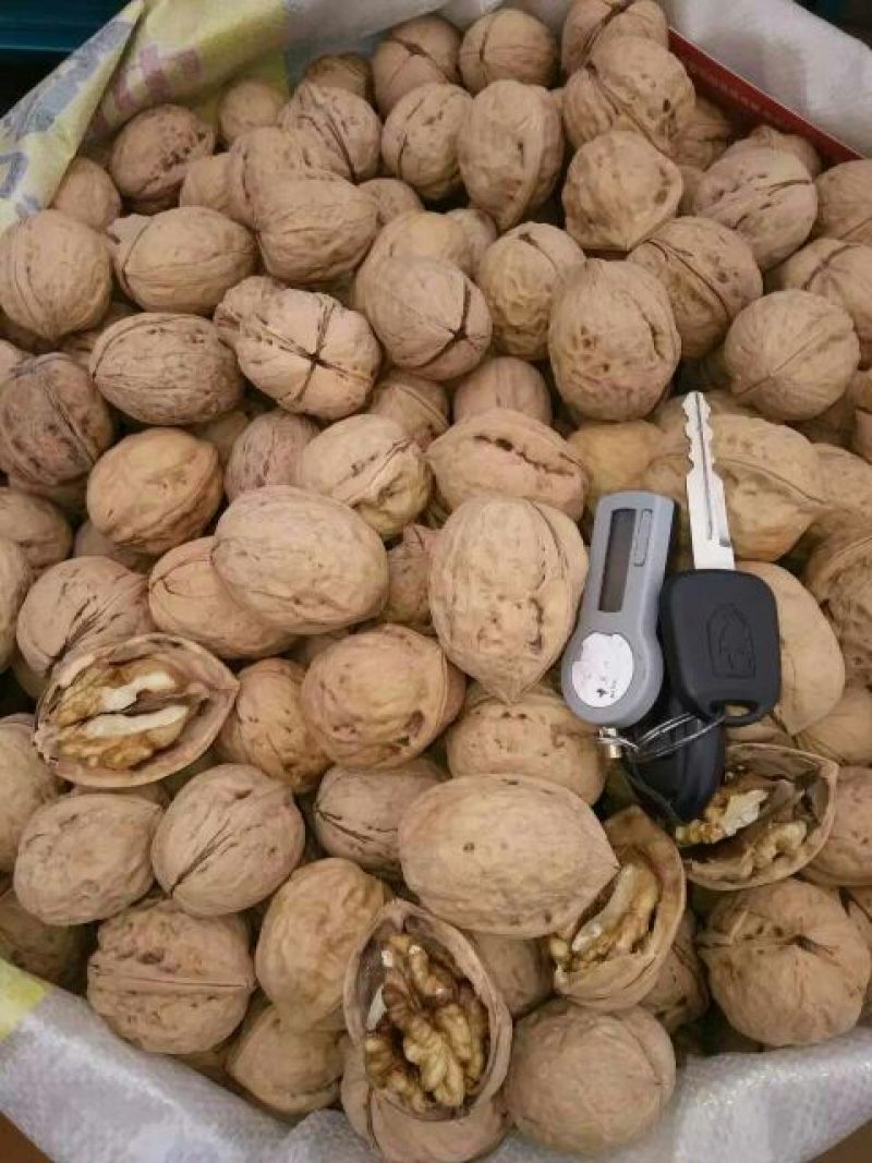 薄皮核桃30mm以上去皮