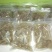 红薯粉皮包装